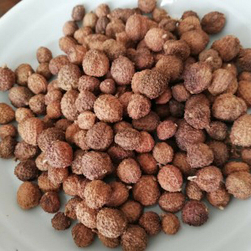 100g Chun Sha Ren Healthy Herbal Tea 春砂仁 干果 广东煲汤 泡茶 泡酒养胃养生茶 调理肠胃