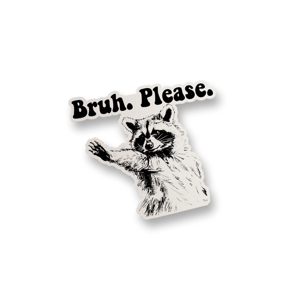 Bruh Please Vinyl Decal Sticker Funny Sticker Water Bottle Sticker Decal