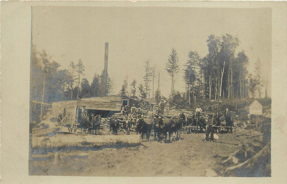 C1910 Washington Maine Lumber Sawmill Workers occupation RPPC Postcard 25-2352