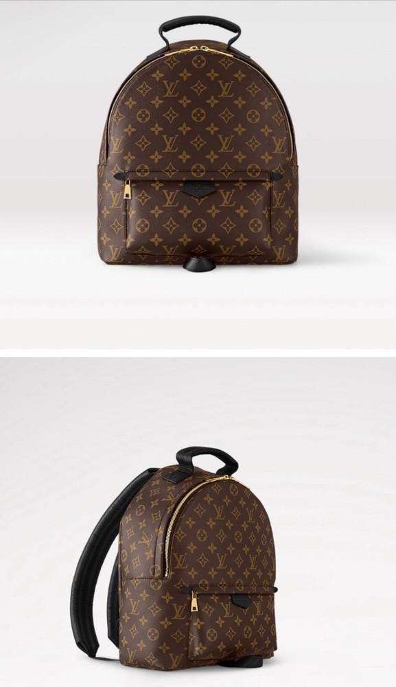 Louis Vuitton Palm Springs Backpack MM Brown Canvas