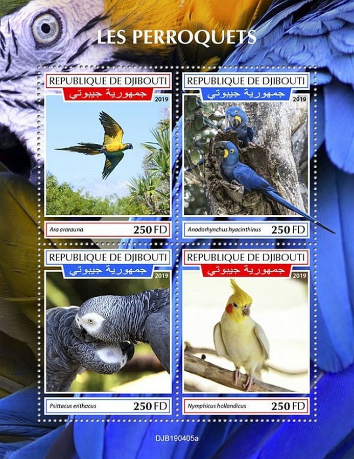 PARROTS & PARAKEETS 4-Value MNH Bird/Birds Stamp Sheet #161 (2019 Djibouti)