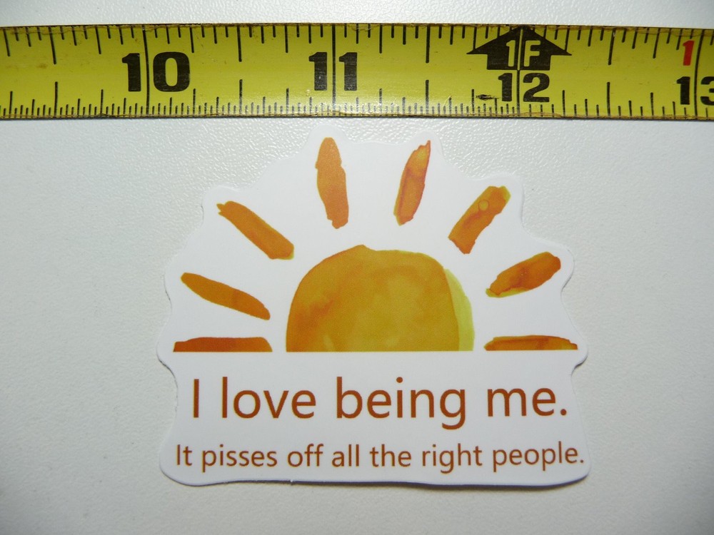 I Love Being Me Pisses Off People Sarcastic Sticker Decal Saying