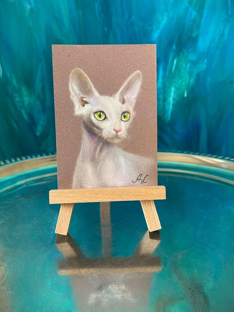 Original Pastel ACEO Abyssinian Cat Artwork by Professional Artist