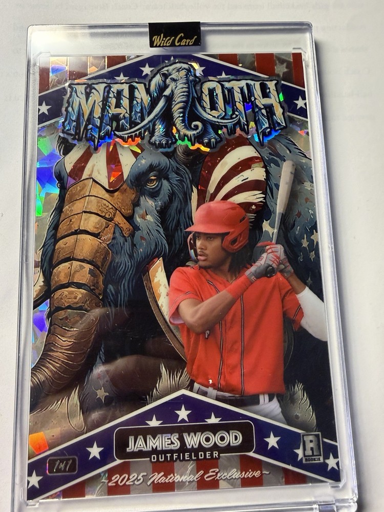 2025 Wild Card Jumbo National Exclusive Mammoth JAMES WOOD 1/1 Encased Crystal