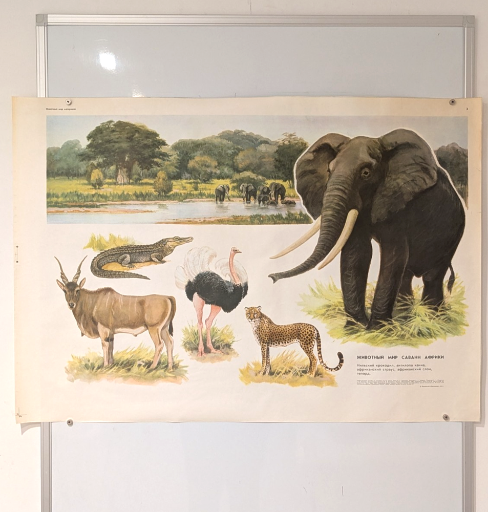nile river - crocodile elephant ☭ Big Size Original Poster _1973 African savanna