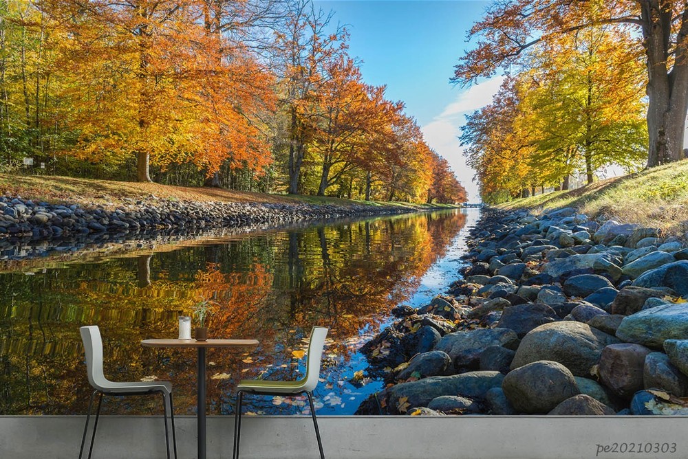3D Forest River Autumn Landscape Wall Murals Wallpaper Murals Wall Sticker
