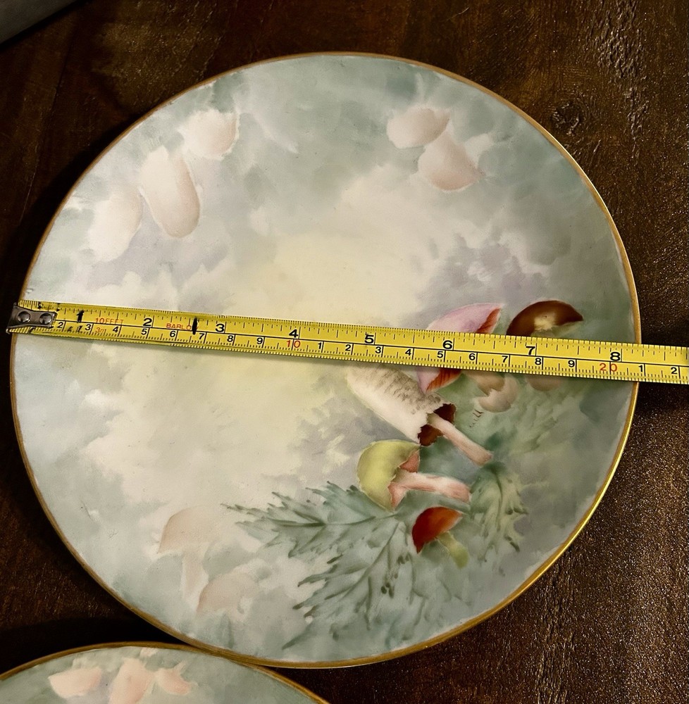 Bavarian Salad Plate 8.5”  Mushrooms