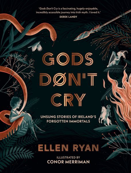 Like New Gods Don't Cry by Ellen Ryan Free US Shipping