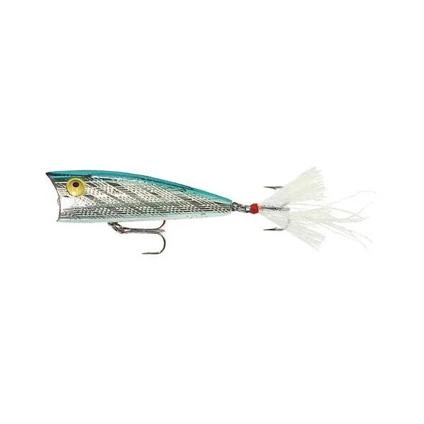 P65 Rebel 3