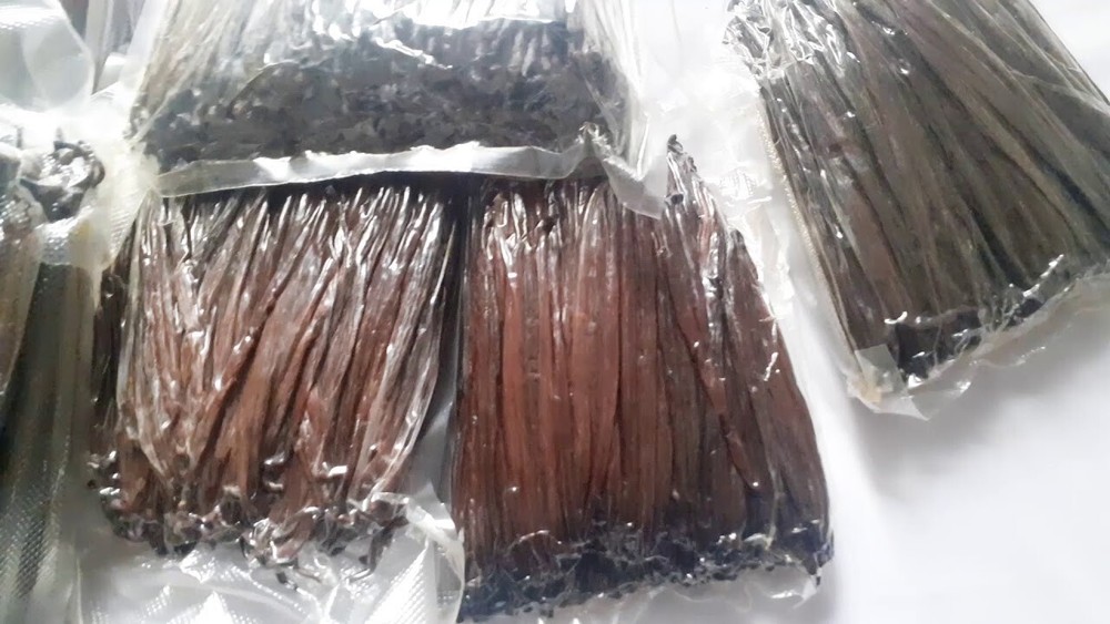 Vanilla Beans ORGANIC Grade B GREAT 4 Extract  1 LB (16OZ) LIMITED TIME OFFER!!-image