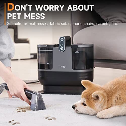 Portable Carpet Shampooer for Pets Upholstery and Rugs in Black