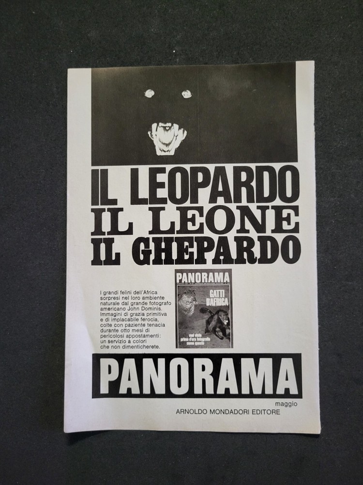 Vintage Panorama Mondadori Advertising Clipping #892 - 1960s Magazine Ad Collectible
