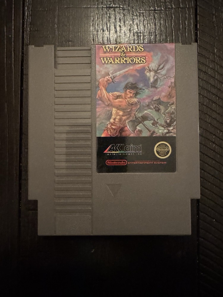 Wizards & Warriors (Nintendo Entertainment System, 1987)