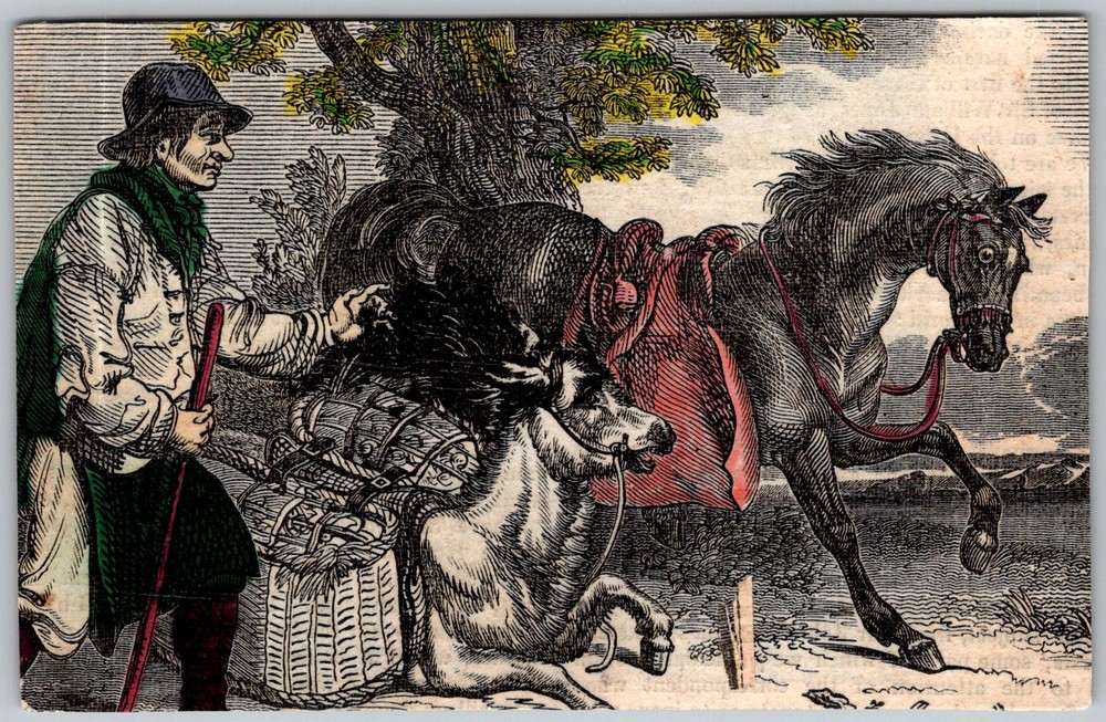 Antique Postcard Pack Horse & Mule 1910s