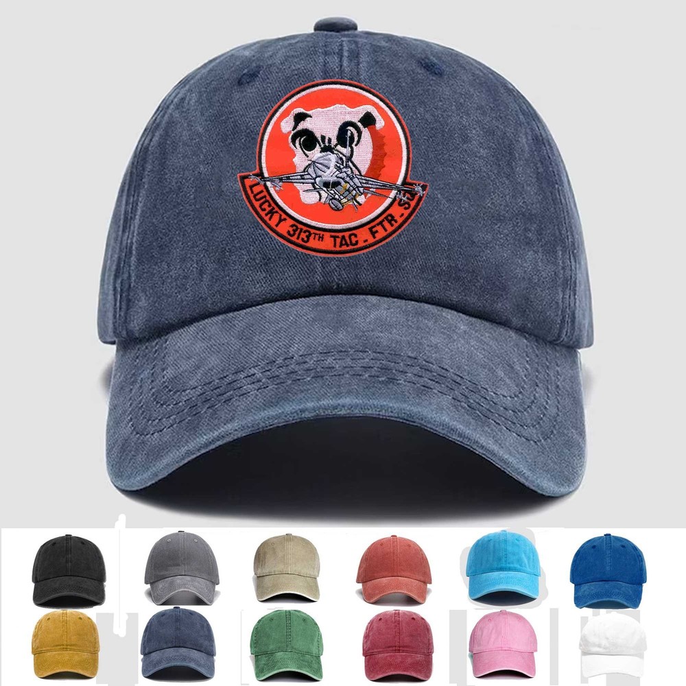 Custom Embroidered Hat 313 Tactical Fighter Squadron, Veteran Cap, Trucker Hat