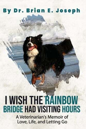 I Wish the Rainbow Bridge Had Visiting Hours: A Veterinarian's Memoir of Love,