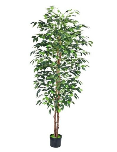 6FT Artificial Ficus Tree in Sturdy Plastic Pot for Home or Office Decor