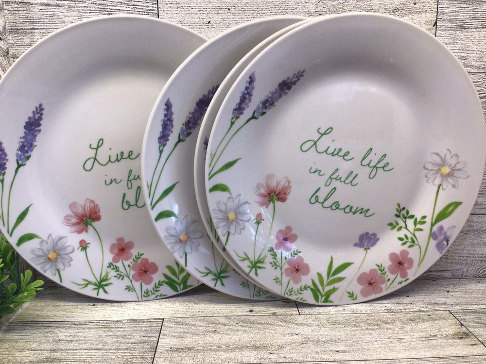 Salad plates set of 4