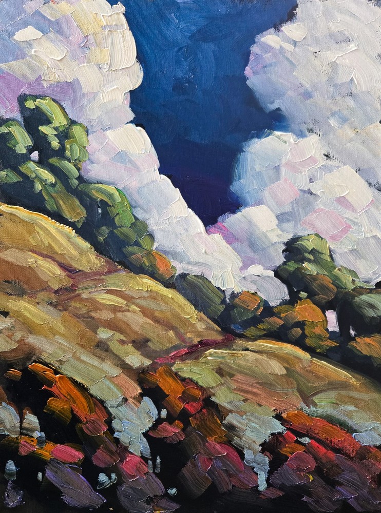 Large Painterly Original Oil Painting Brilliant Clouds Impressionism Art Hawkins