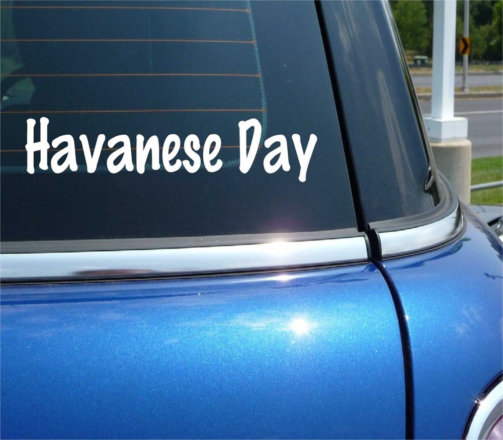 Funny Havanese Dog Have a Nice Day Decal Sticker for Car or Wall