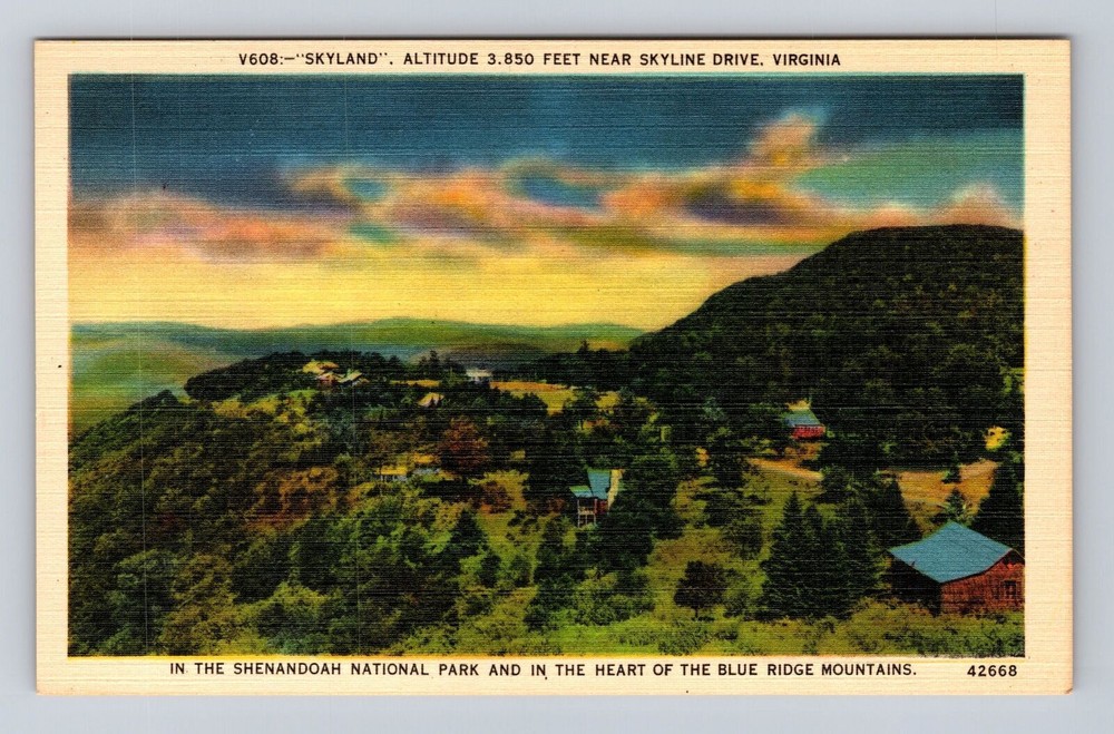 Skyline Drive VA-Virginia, Skyland, Antique, Vintage Souvenir Postcard