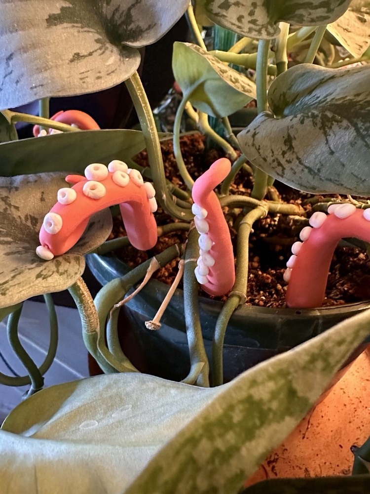 Pink Sea Creature Tentacles Plants Decor Plant Friend, Spring Octopus