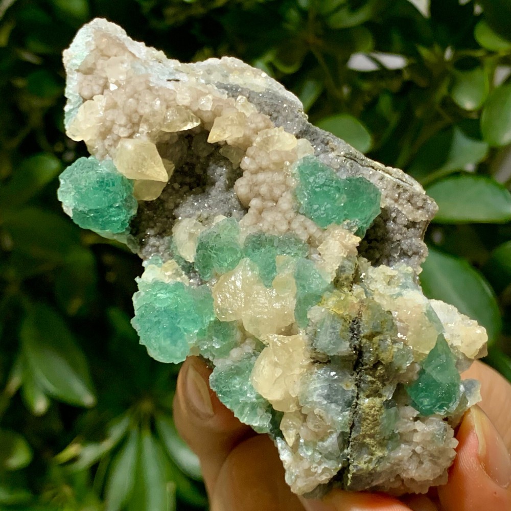 242G Rare Transparent Green Cubic Fluorite Crystal Specimen from China