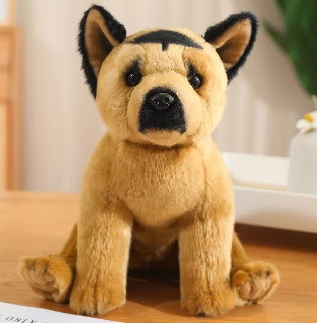 German Shepherd Dog 12