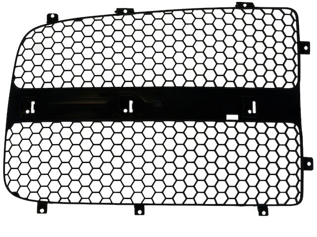 Right DIY Solutions Grille Insert fits Dodge Ram 2500 2003-2005 35ZXYN