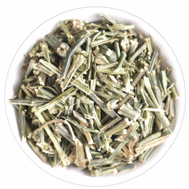 穿心莲 Heart piercing lotus