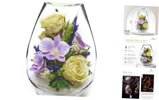 Premium Fresh Cut Preserved Flower Bouquet in a Sealed Serenda White & Purple
