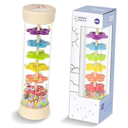 Rain Stick, Montessori Baby Toys for 6-12 Months 1 Year Old, Baby Classic