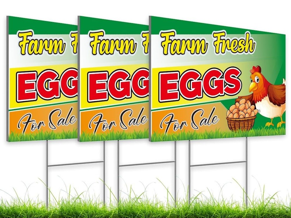 8x12 Inch 3X Double Sided Plastic Sign With H-Stakes Eggs for Sale Yard - Far...