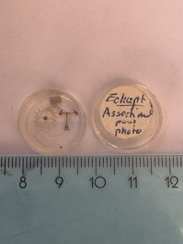 Patek Philippe watch movement balance assembly with anchor