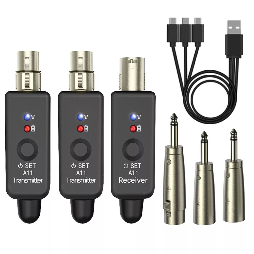 Professional Wireless Mic System with Multi-Mic Compatibility