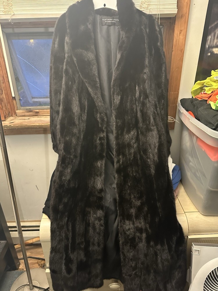 Northern Lights Mink