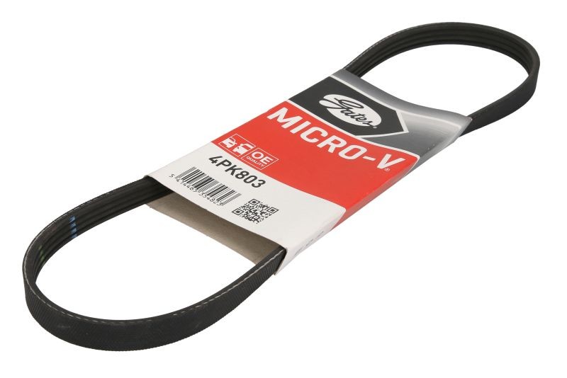 Multi-Ribbed GAT Belt for 5 Touring, 6 Coupe, 6 Gran Coupe, 6 Cabriolets, 7
