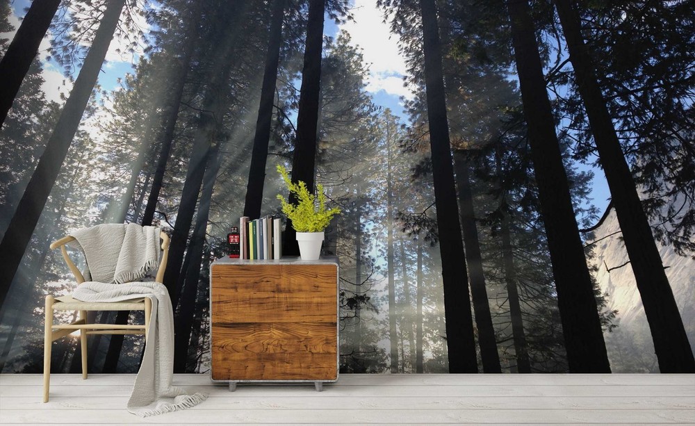 3D Forest Sunshine Landscape Wall Murals Wallpaper Murals Wall Sticker