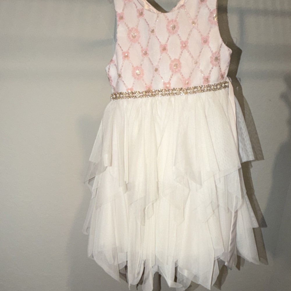 American Princess Ivory Pink Floral Tutu Dress Sleeveless Knee Length 4T Girls