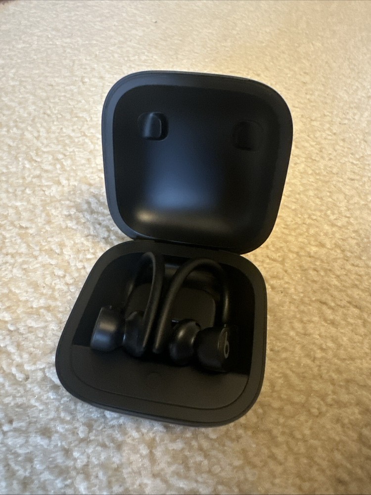 Beats by Dr. Dre - Powerbeats Pro Totally Wireless Earbuds - Black