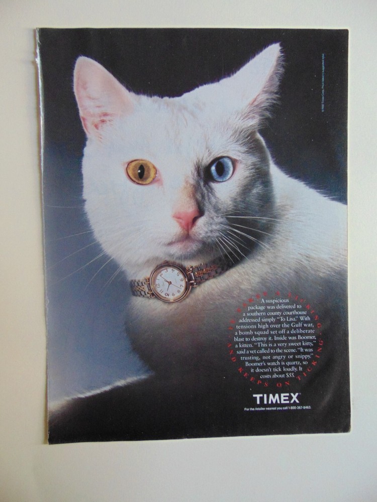 1992 TIMEX White Cat Wears Watch  print ad