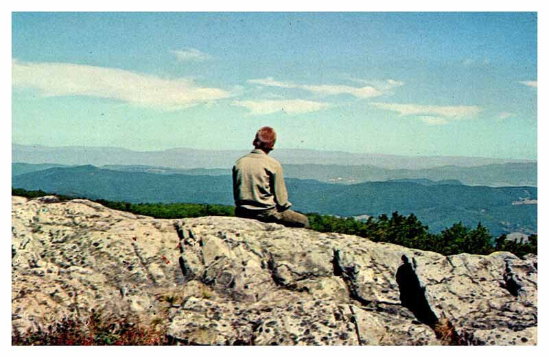 Postcard PANORAMIC SCENE Mount Rogers State Virginia VA 11/8 AU7137