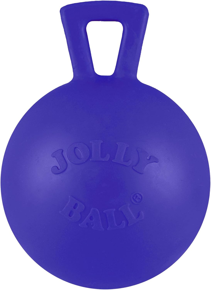Tug-N-Toss Heavy Duty Dog Toy Ball with Handle, 4 Inches/Petite, Blu
