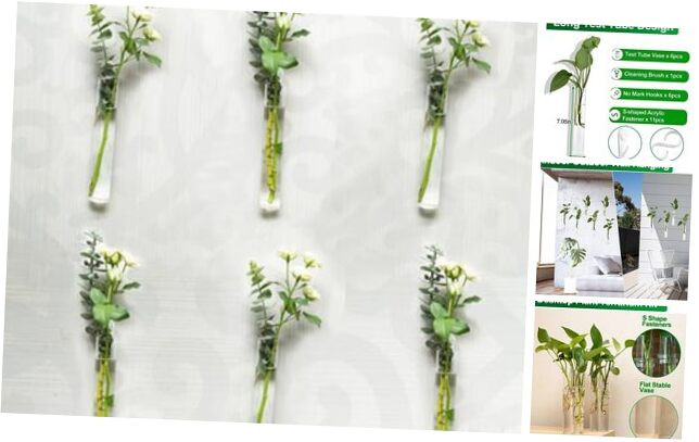 6Pcs Glass Wall Hanging Planters for Indoor Succulents or Air Plants  