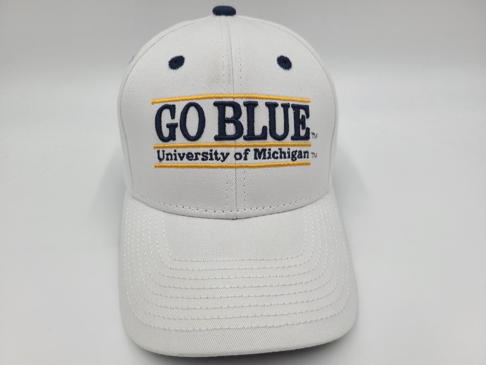 University of Michigan Wolverines 
