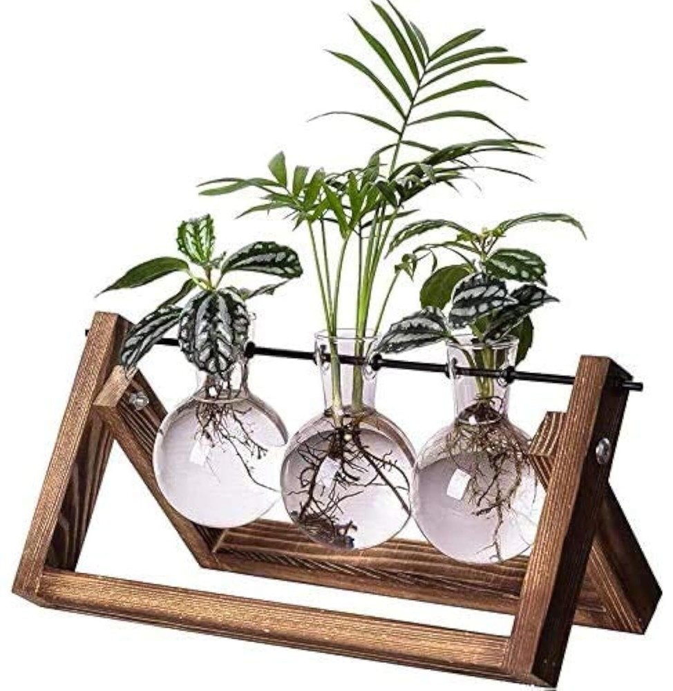 Plant Propagation Stations Terrarium Glass Desktop Planter with Wooden Stand ...
