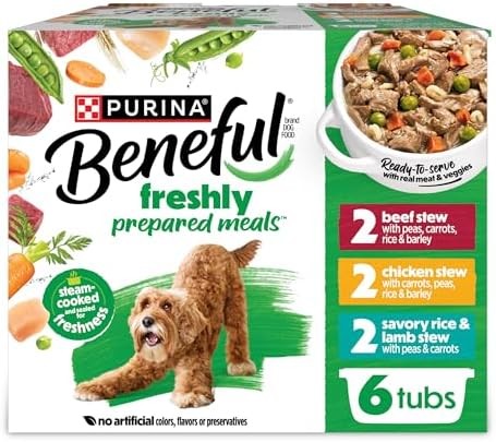 Purina Beneful Protein Gravy Wet Dog Food Variety Pack 6 x 10 Oz Tubs