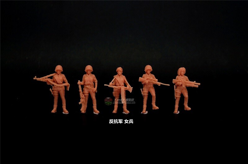 3D printed 1/72 WW II Poland 