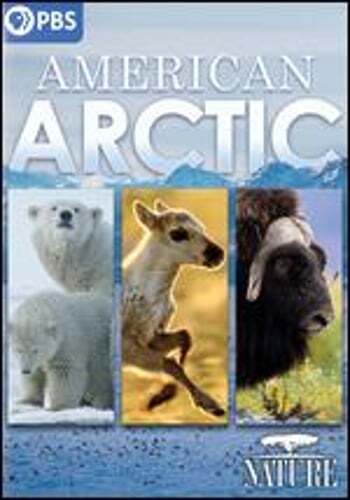 Nature: American Arctic: New