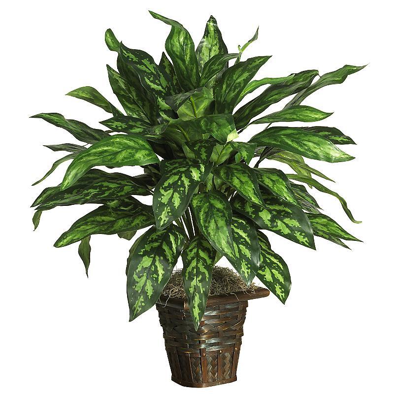 Silver King Pothos with Decorative Basket Silk Plant  